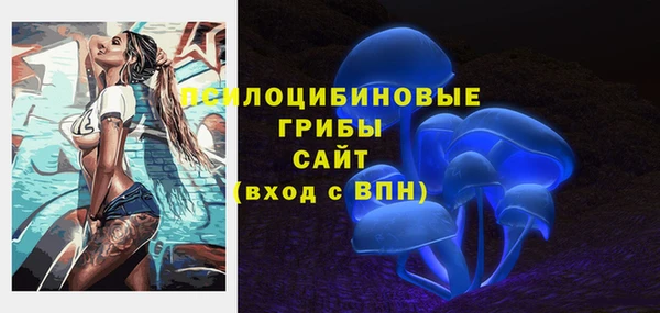 Альфа ПВП Струнино