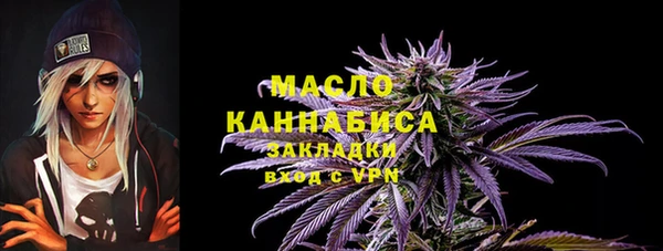 тгк Вяземский