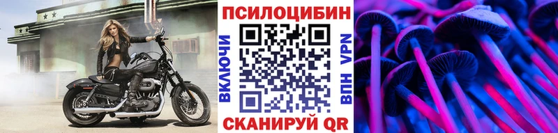 Псилоцибиновые грибы ЛСД  Губкинский 