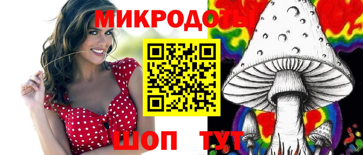 Губкинский  Псилоцибиновые грибы GOLDEN TEACHER  Вход с VPN  Галлюциногенные грибы Psilocybine cubensis 